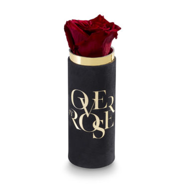 rosa stabilizzata Singola N rossa