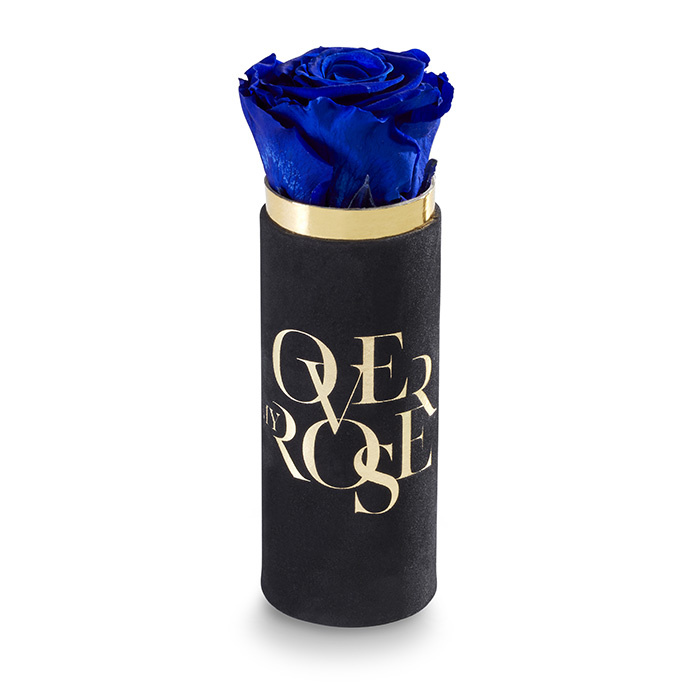 rosa stabilizzata Singola N blue