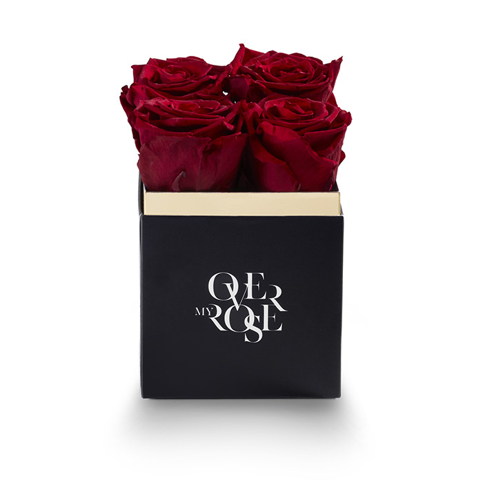 rose stabilizzate piccola rossa