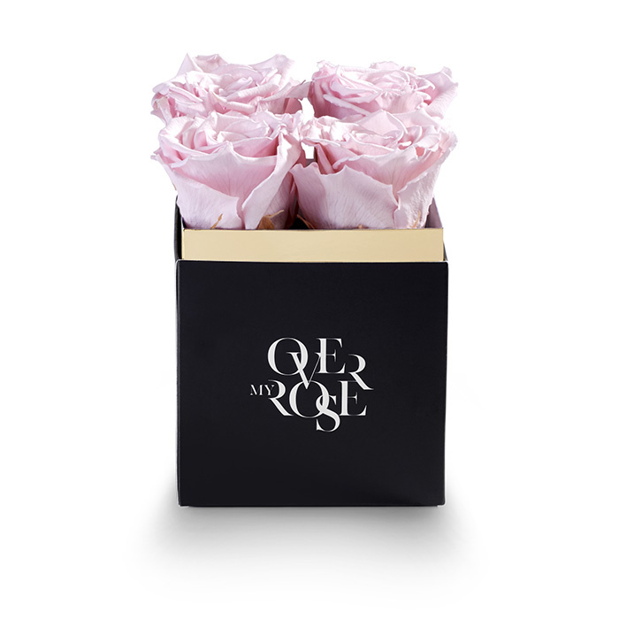 rose stabilizzate piccola rosa