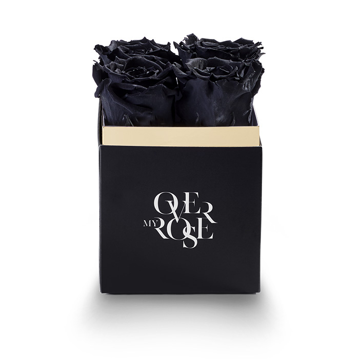 rose stabilizzate piccola nero