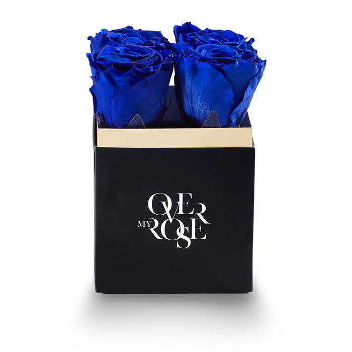 rose stabilizzate piccola blu