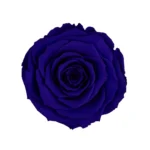 Blu 03
