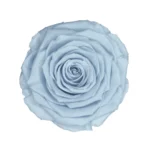 Blu 89