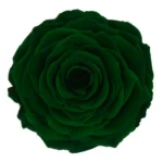 Gre 02
