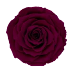 Pin 02