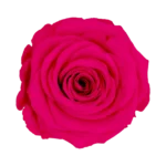 Pin 03