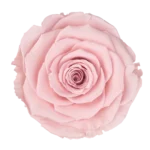 Pin 04
