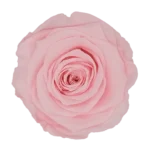 Pin 99