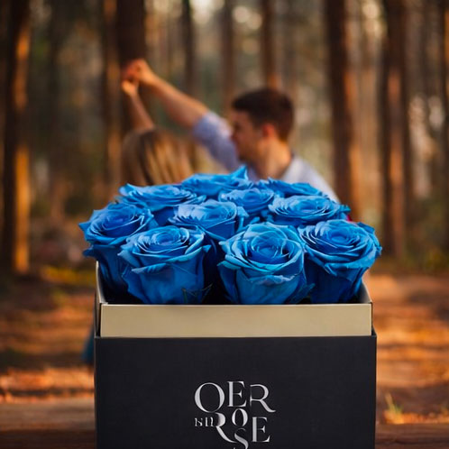 Come regalare le rose blu: significato e consigli