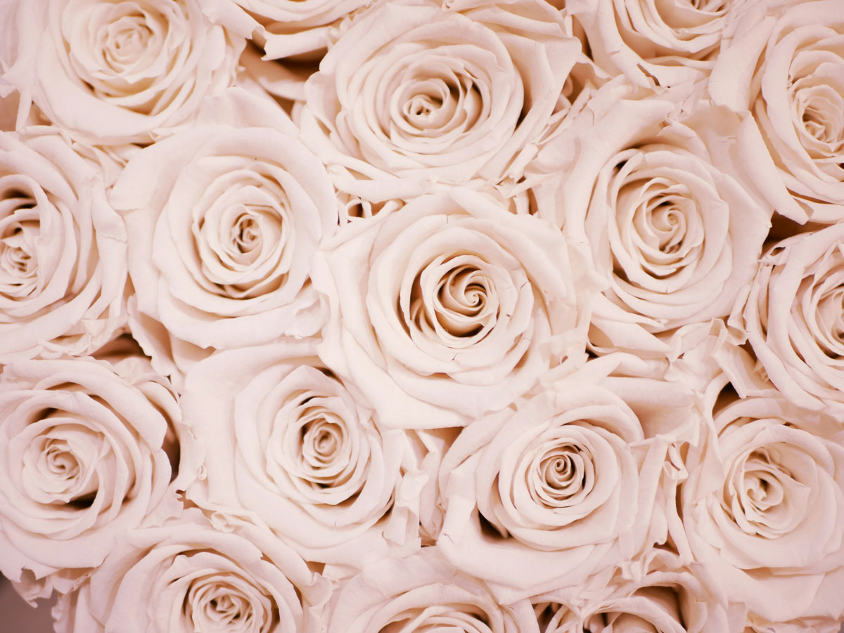 Una Madre è come una Rosa che non svanisce mai