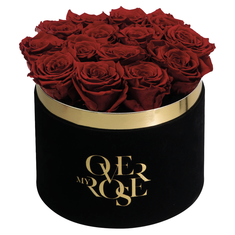 Una dichiarazione d'amore in 14 rose