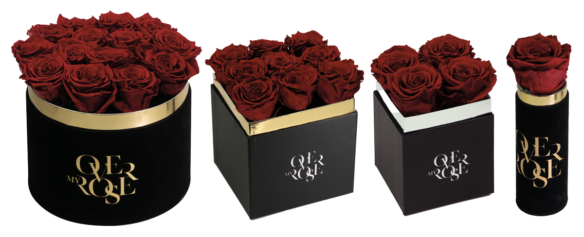 Rose stabilizzate per un regalo memorabile